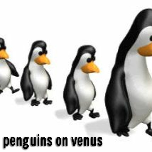 Penguins on Venus